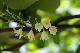 image0139