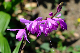 image0140