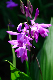 image0141