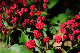 image0142
