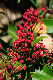 image0143