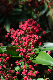 image0144