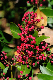 image0145