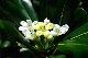 image0146