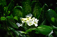 image0147