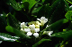 image0148