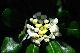 image0150