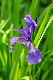 image0151