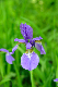image0152
