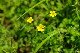 image0155