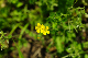 image0156
