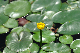 image0157