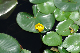 image0158
