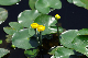 image0159