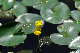 image0160