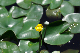 image0161
