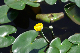 image0162
