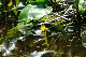 image0163