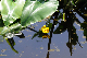 image0164