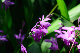 image0165