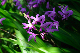 image0167