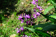 image0168