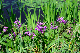 image0169