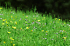 image0170