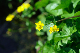 image0171