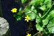 image0172
