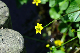 image0173