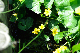 image0174