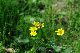 image0175