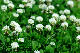 image0176