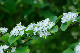 image0178