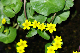 image0180