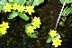 image0181
