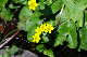 image0182