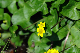 image0183