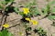 image0184