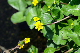 image0185