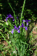 image0186