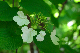 image0187