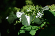 image0188