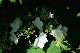 image0189