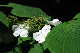 image0190