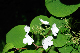 image0191