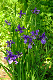 image0192