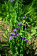 image0193