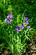 image0194